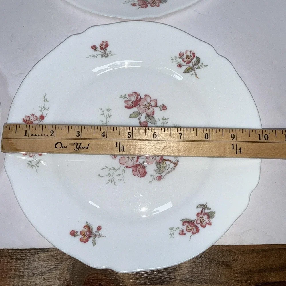 Lot 5 Vintage Arcopal France Florentine Cherry Blossom 10